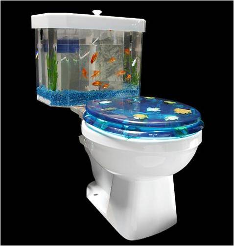 fish toilet