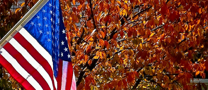 november