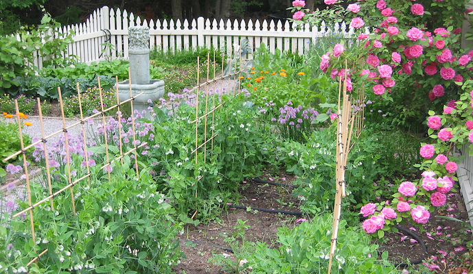 eco friendly garden tips five