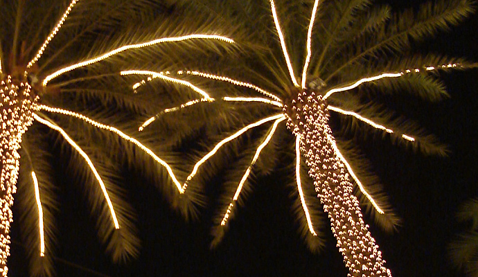 Holiday Decorations for Jacksonville's Warm Climate | Jacksonville ...