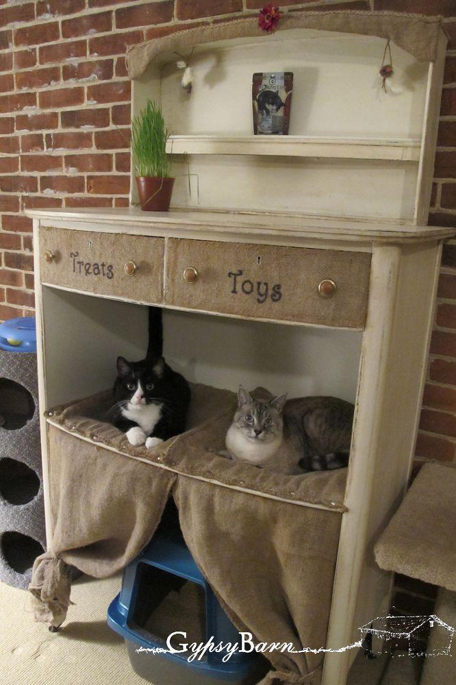 Dresser for cats