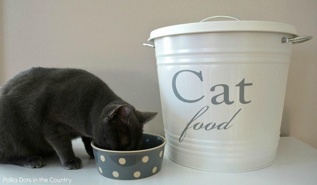 DIY Cat Food Container