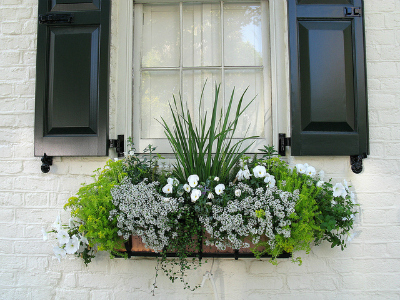 Small Outdoor Space: Hang a Window Box