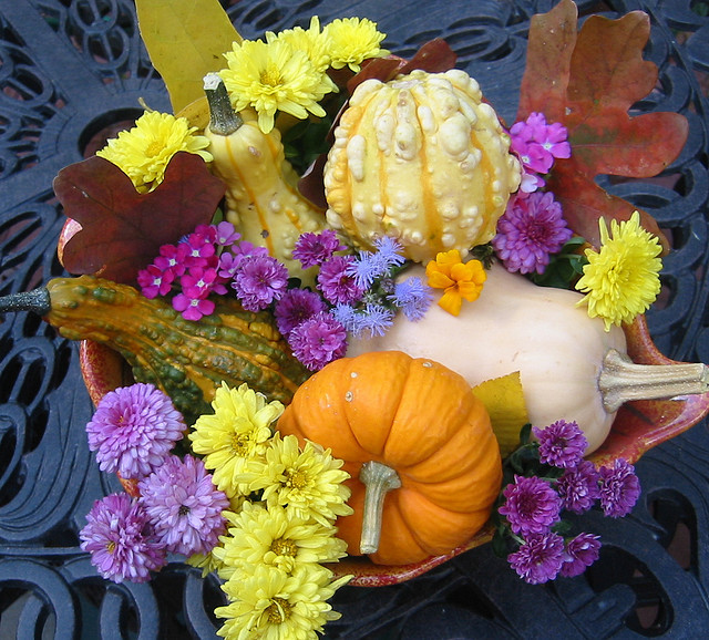 Fall Flowers - Flickr/terren in Virginia