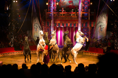 Things to Do with Kids in NYC: Visit the Circus
