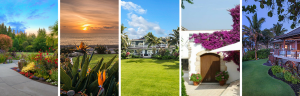 grounds_header
