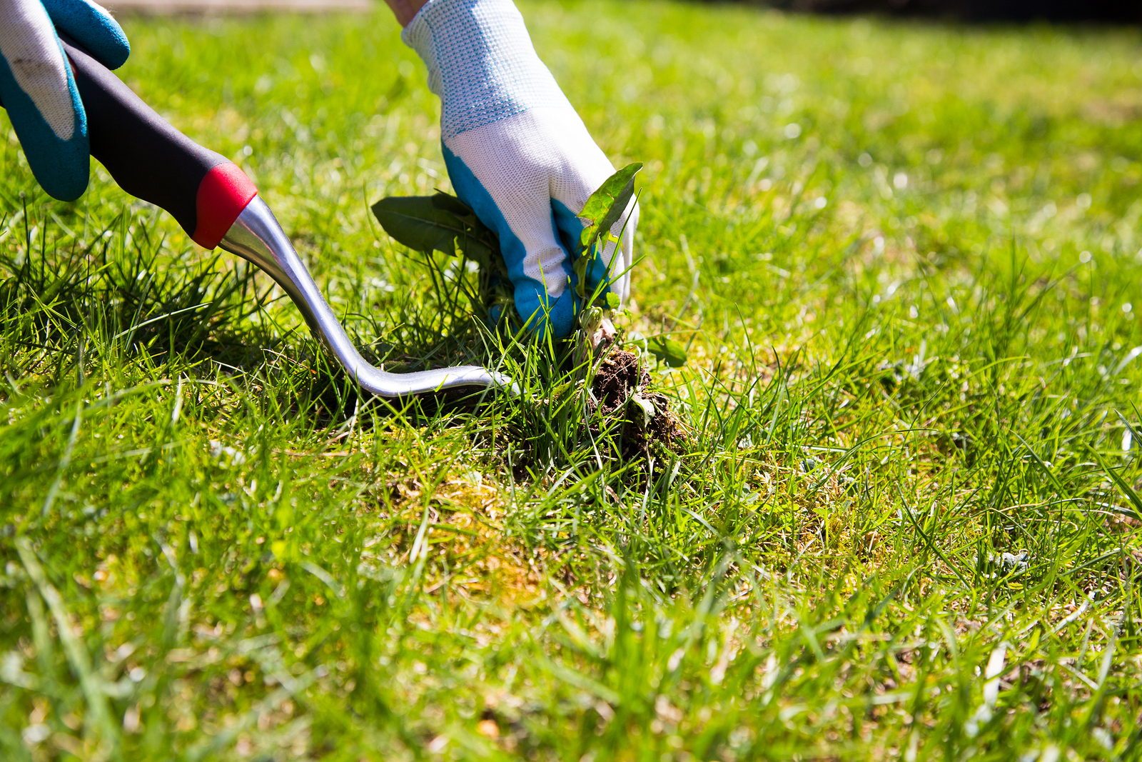 Fall Yard Care Tips: Take Care of Your Lawn