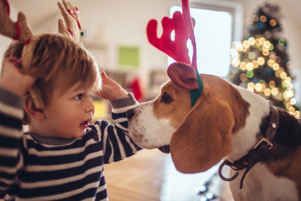 Cute little dog and cute little boy, dressed up as Rudolph, the red-nose reindeer..