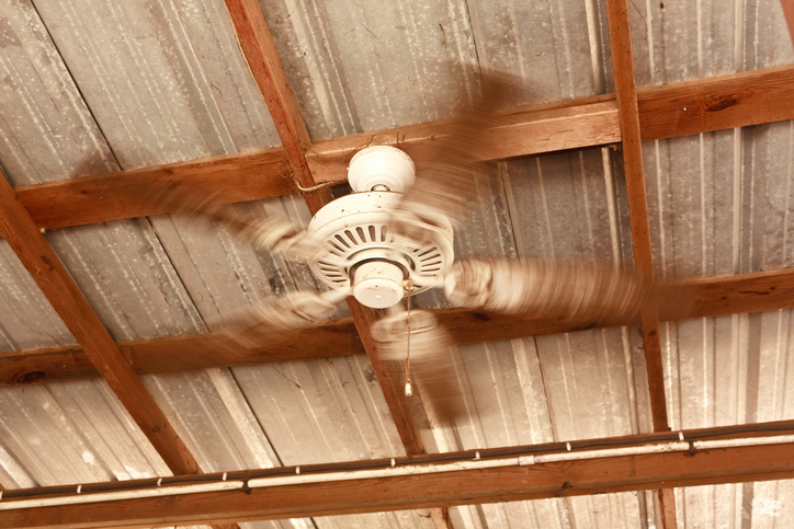 A spinning ceiling fan -- but it's not in a home, it's in a rural barn -- that's why you can see wooden rafters and a steel roof, and lots of dirt, dust, and cobwebs if you zoom in.