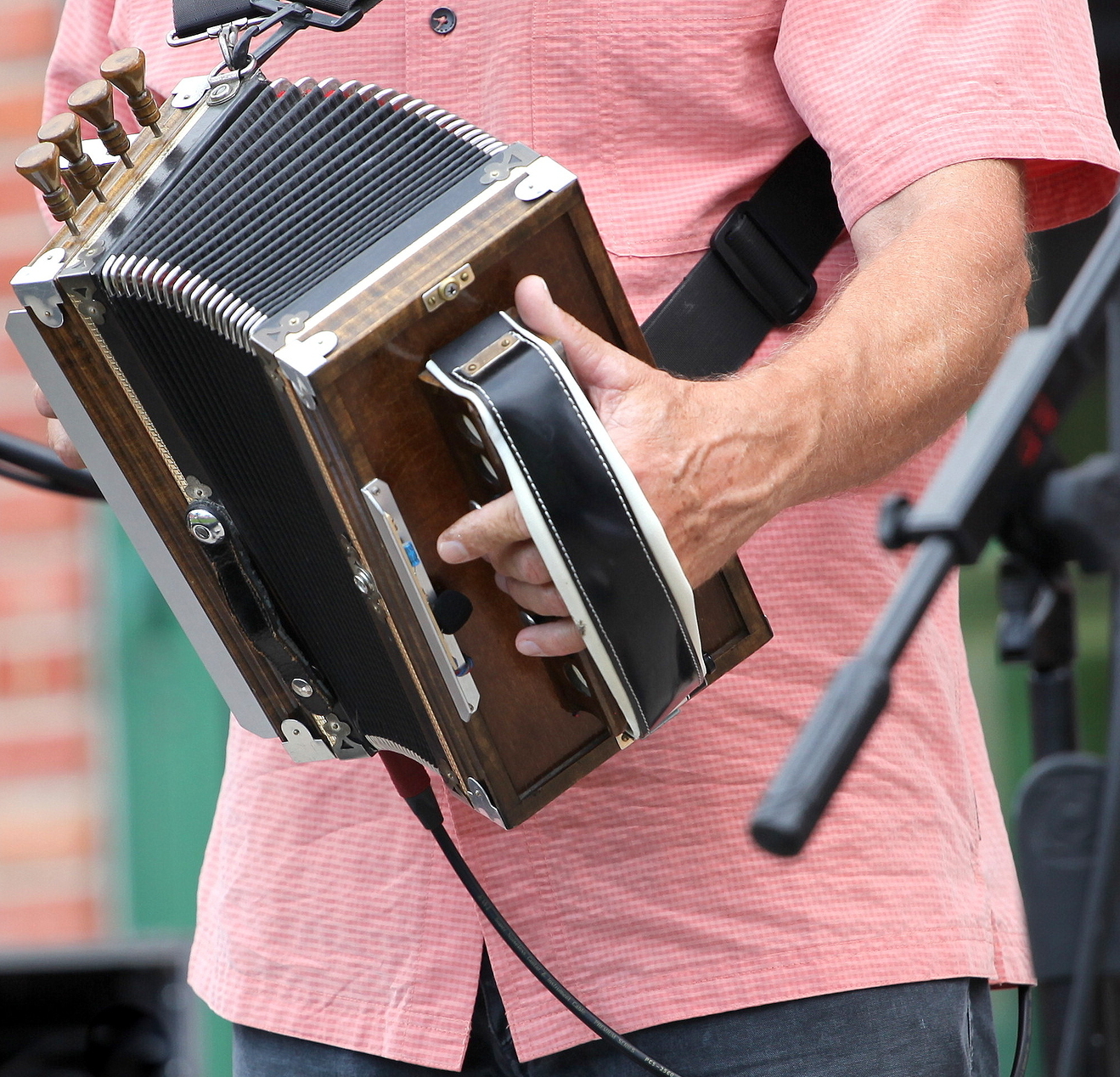 Zydeco accordion musician performing at a cajun music festival outdoors.