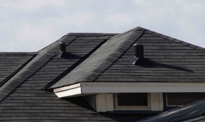 Roof Leaks-Do I Need a Professional Plumber?