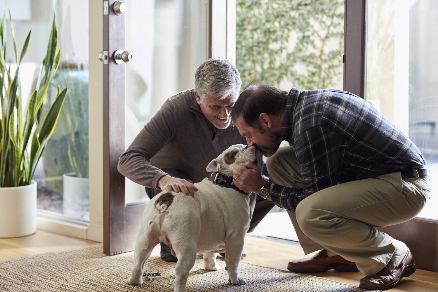 Homes For Dogs The Story of Mack