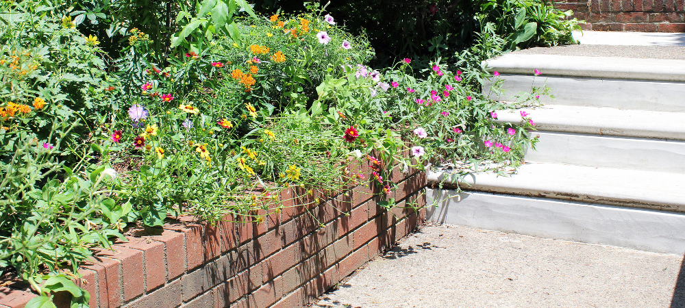 Philly Gardener? Get Your Garden Started This Spring 