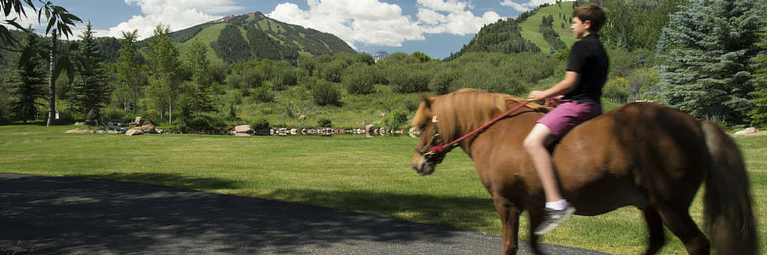 Unique Equine A Tour of Exquisite Equestrian Estates