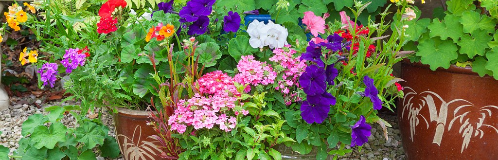 Spruce Up Your Stoop: Ideas for Container Gardens | Philadelphia ...