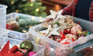 Holiday ornaments packed in a clear storage box.