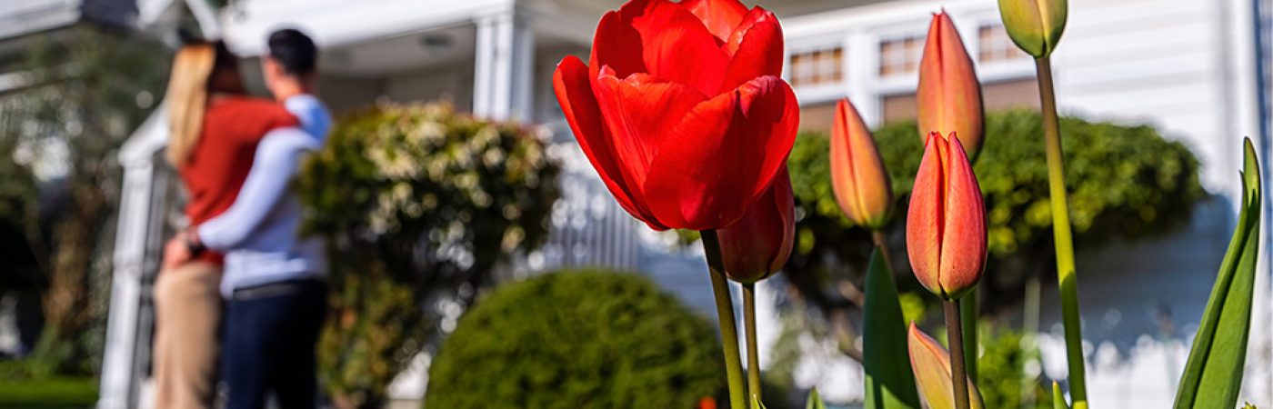 A couple stands before a white home for sale in Spring, red tulips in the foreground.